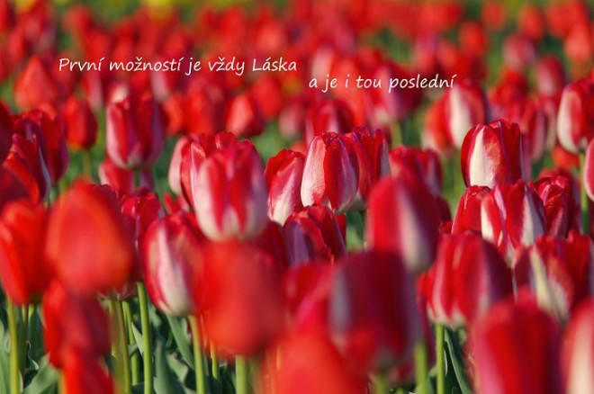 První možností je Láska_B.jpg